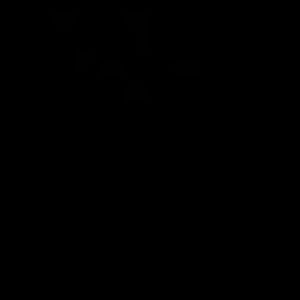 Meet your Posher, Clotiel